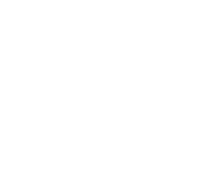 Patriot-Franchising-Logo-White